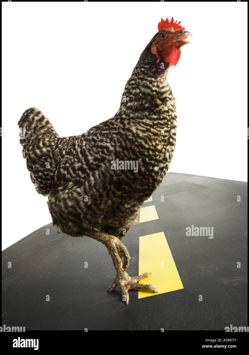 Best juego chicken road in Spain