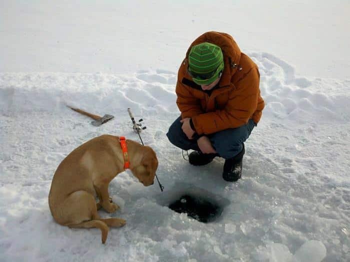 Get Ready to Reel in the Excitement at UK Ice Fishing Casino Games, ice fishing live